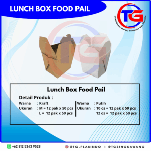 LUNCH BOX FOOD PAIL
